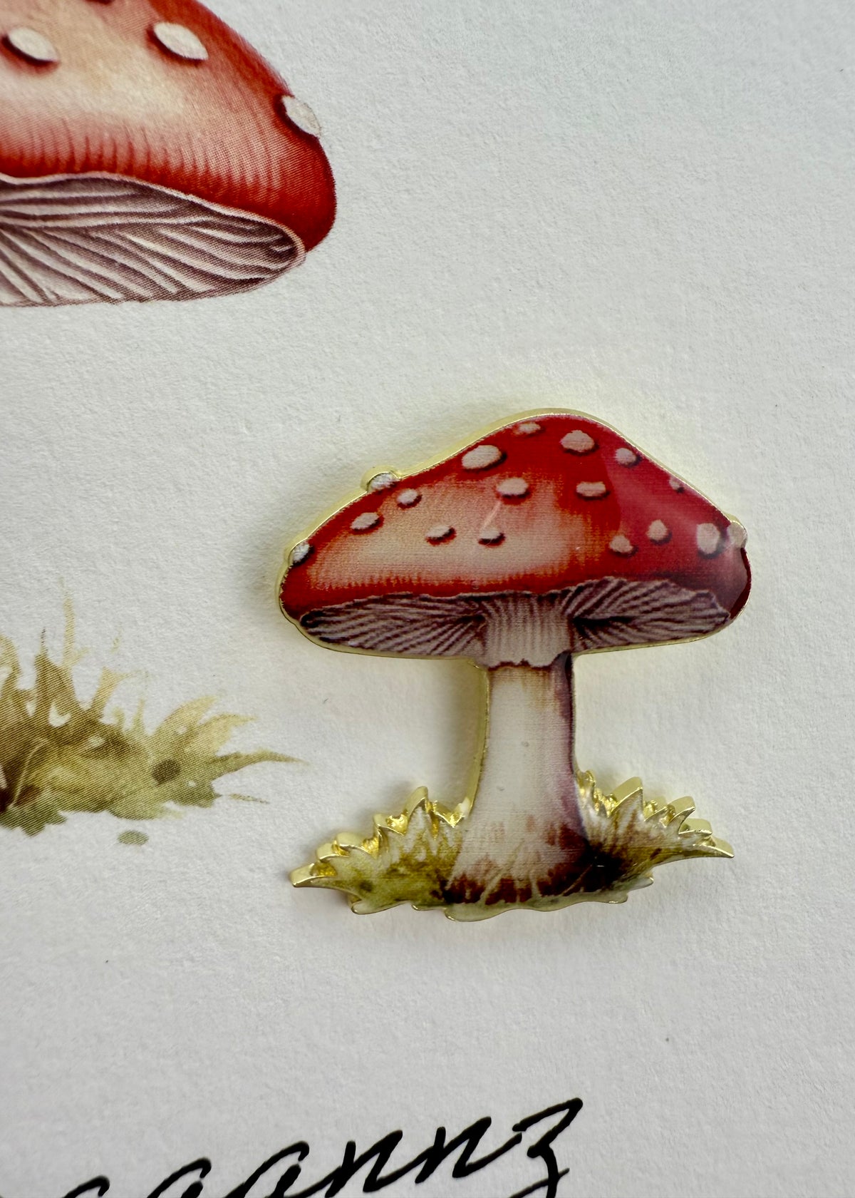 Anstecker-Karte 'Pilz'