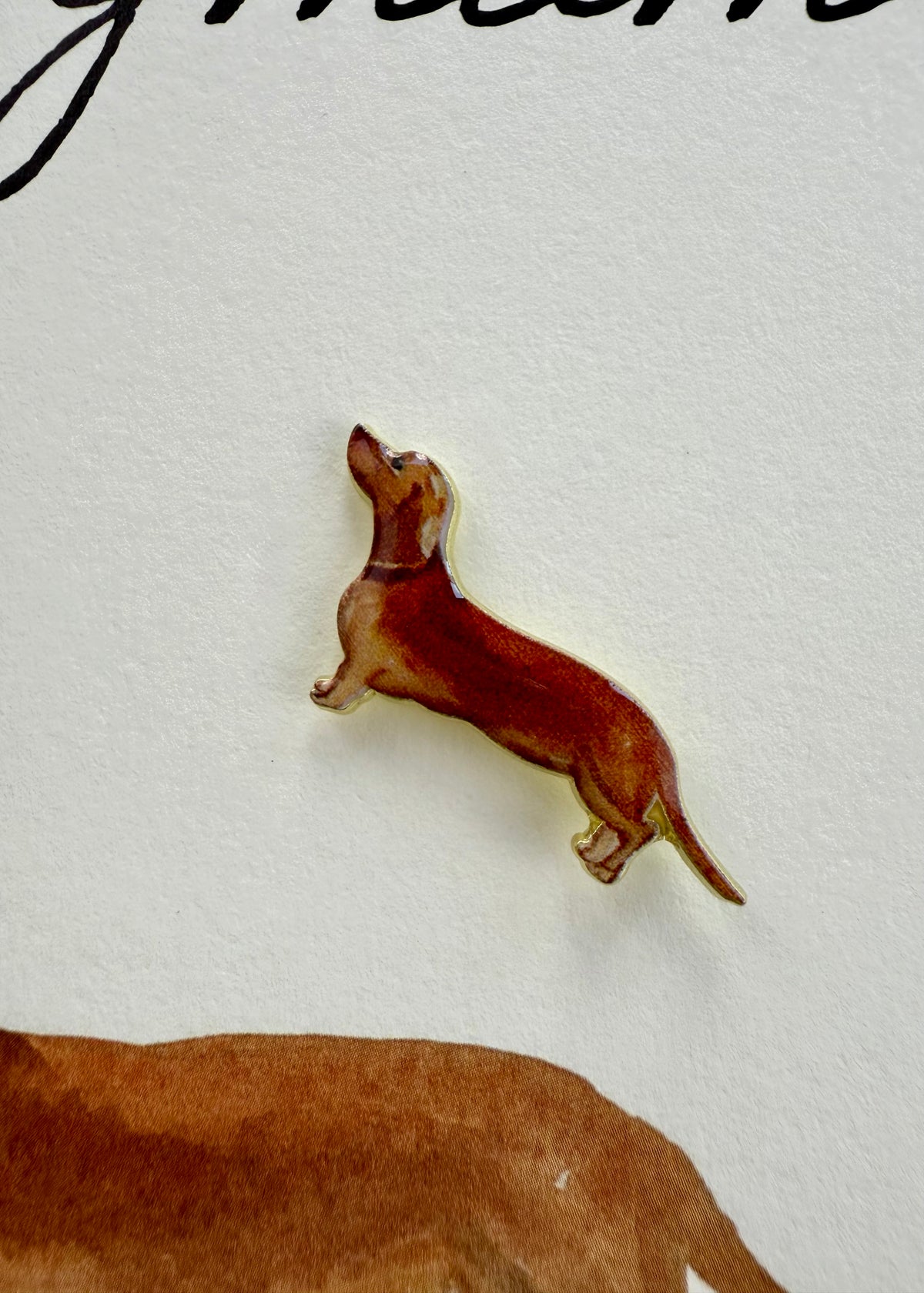 Anstecker-Karte 'Dackel'