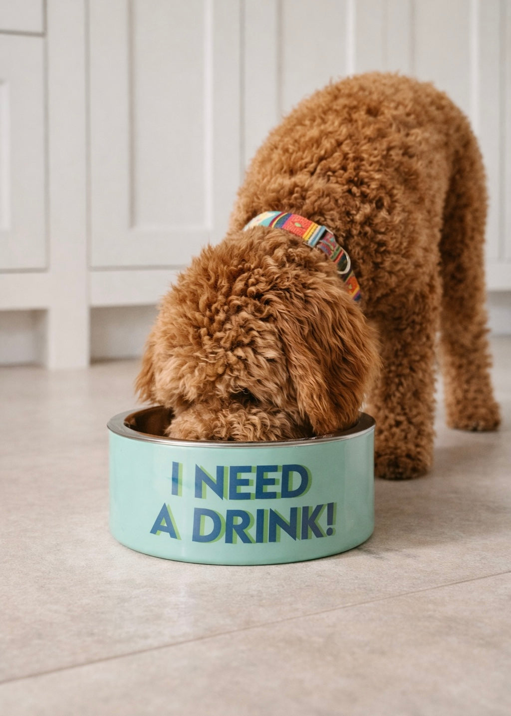 Futternapf Dog S 'I Need A Drink'