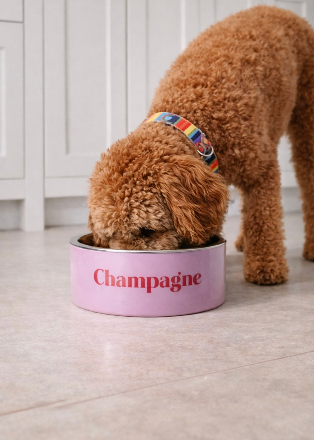 Futternapf Dog 'Champagne'