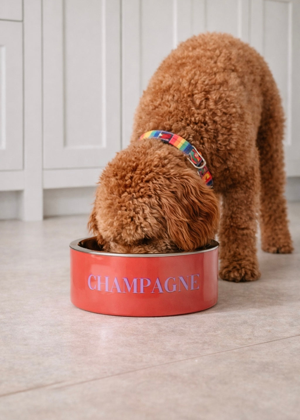 Futternapf Dog S 'Champagne'