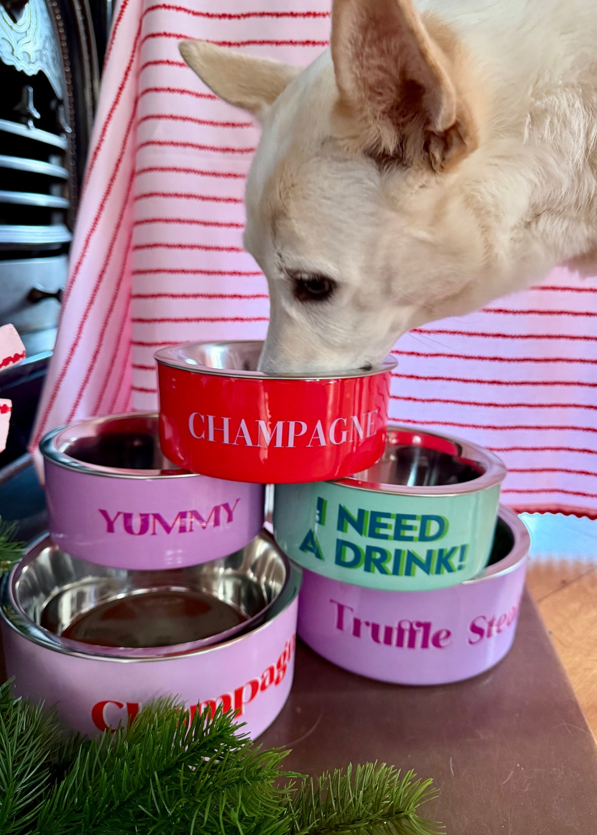 Futternapf Dog S 'I Need A Drink'