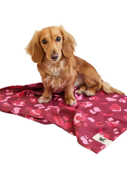 Hunde Handtuch 'Leo'