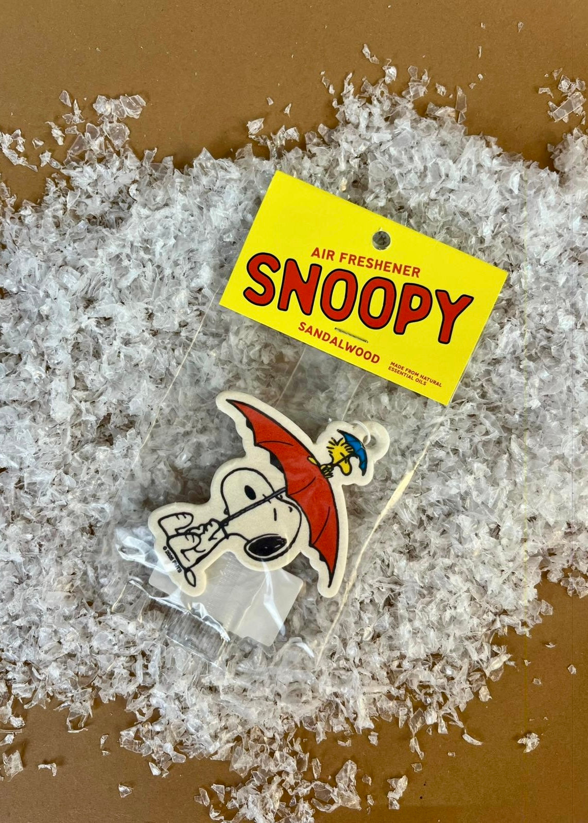 Duftbaum 'Snoopy' Sandalwood