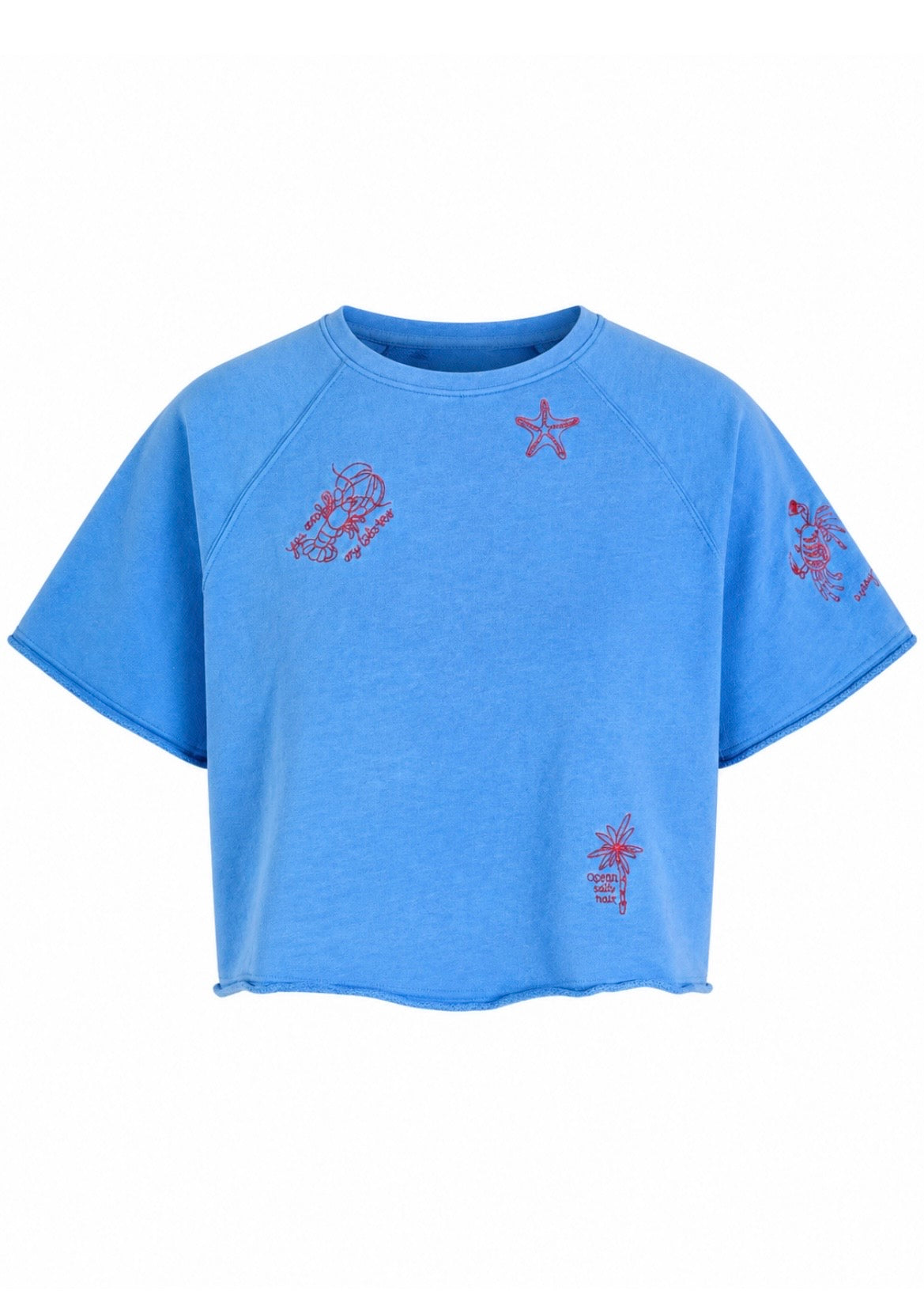 Sweater 'Lobster'