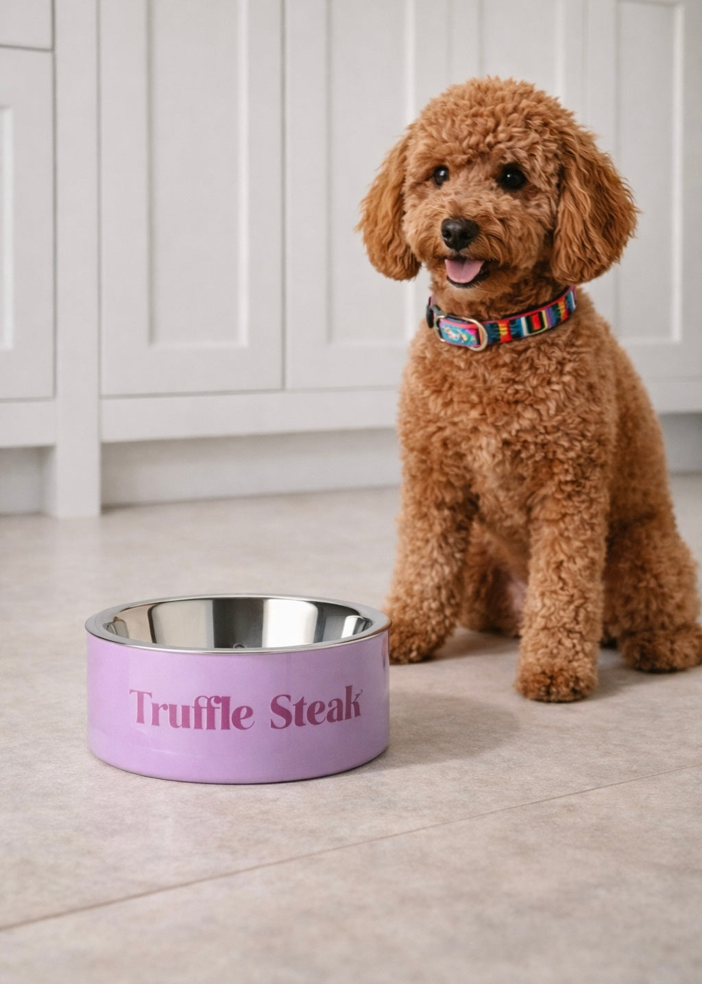 Futternapf Dog 'Truffle Steak'