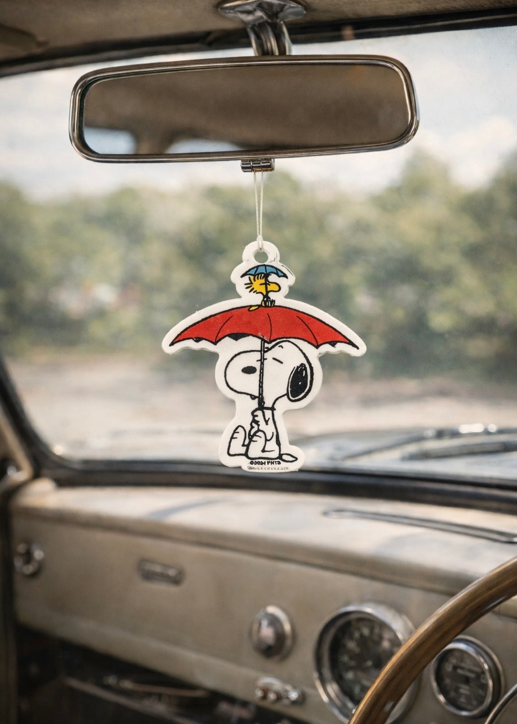 Duftbaum 'Snoopy' Sandalwood