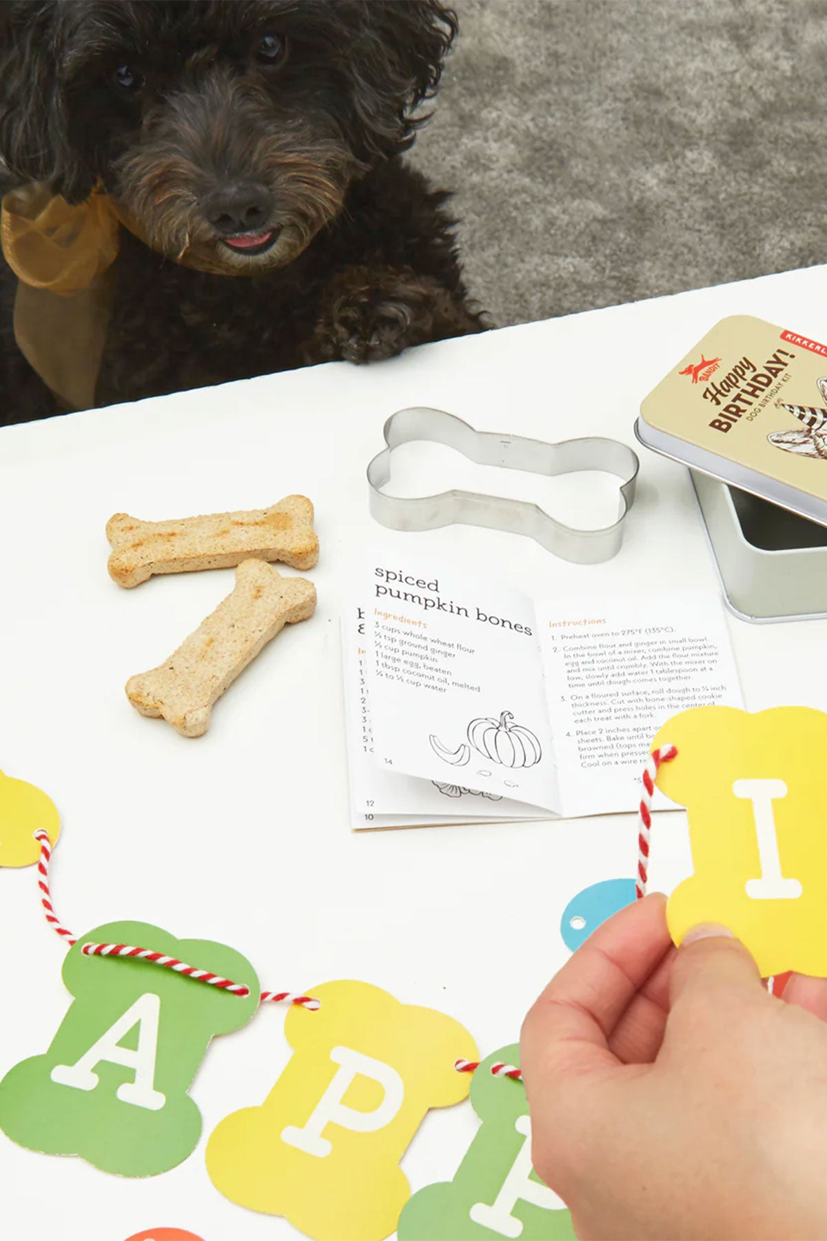 Geschenkbox Hundegeburtstag