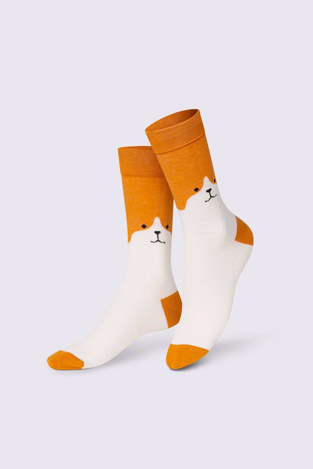 Socken Cute Puppy